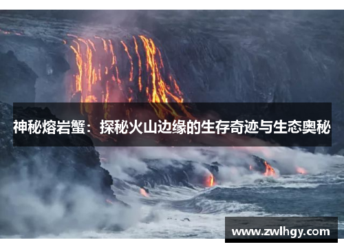 神秘熔岩蟹：探秘火山边缘的生存奇迹与生态奥秘